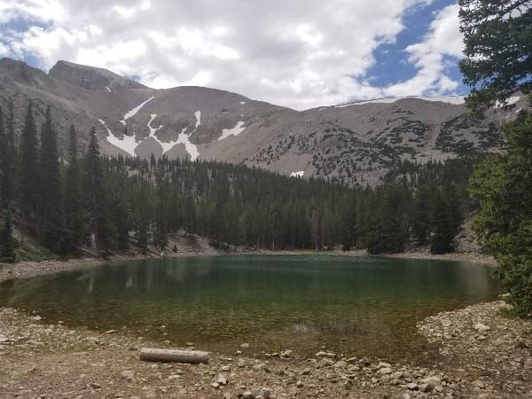 Speaking a Word for Beauty