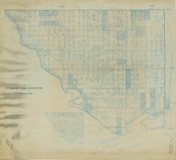 Living on Cutover Land