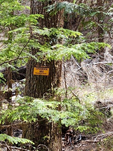 Weakening the Foundation