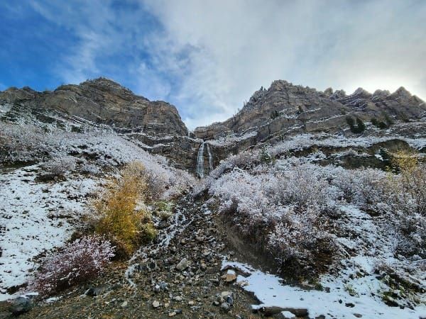 Opposing Monumental Conservation