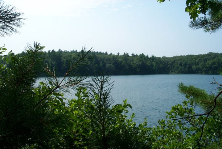 Floating with Thoreau