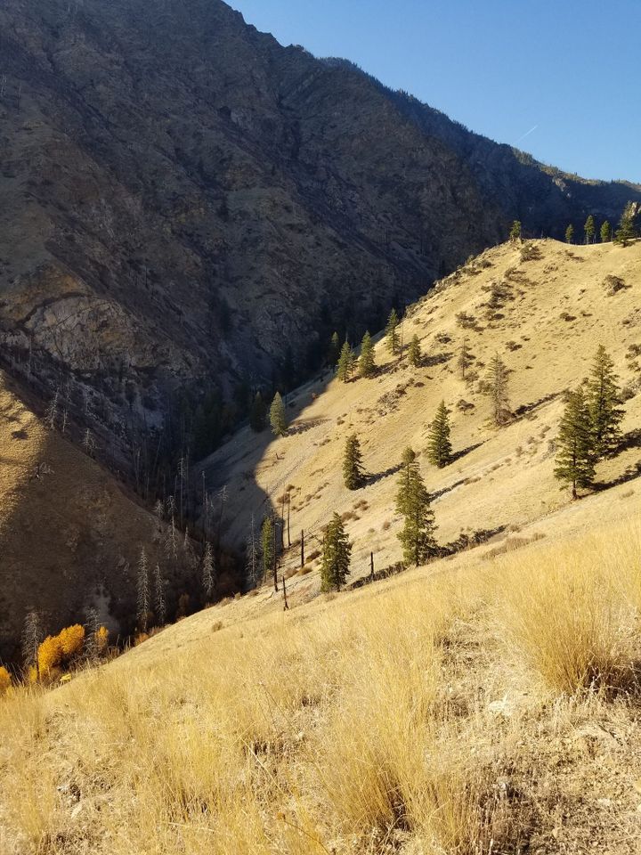 The Frank-ness of Comfort Zones