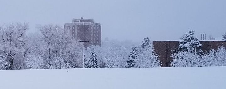 Don't Forget Humanity (or the Humanities)