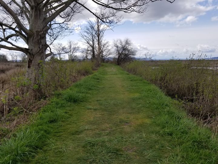 A One-Year Experiment Is Over