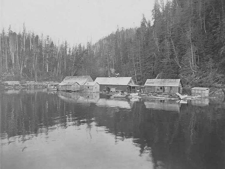 The Former World of the Woods