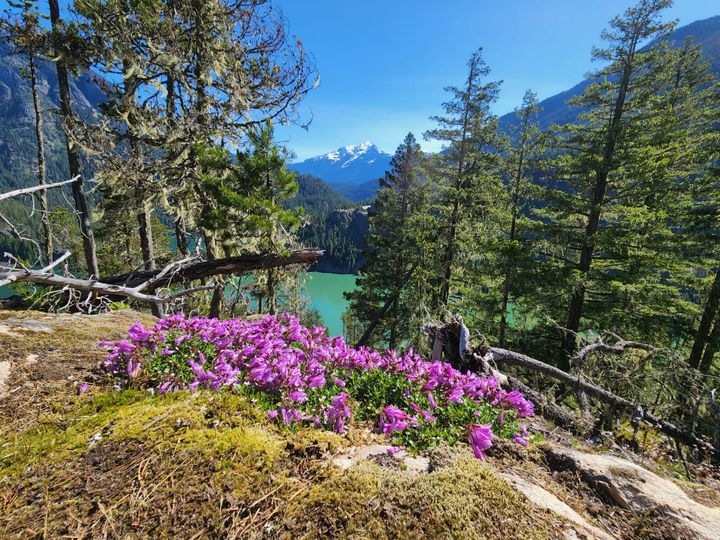 The North Cascades--vision and compromise