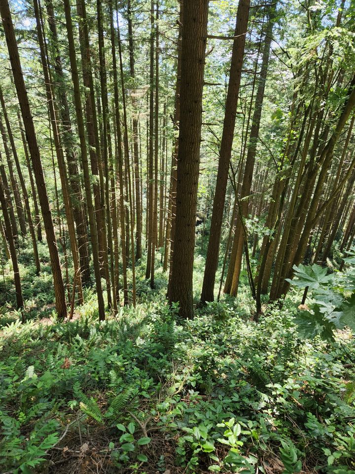 Stewarding Parks and People: Taking Bearings (The Field Trip) by Adam M. Sowards - Issue #3