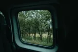 Second Nature