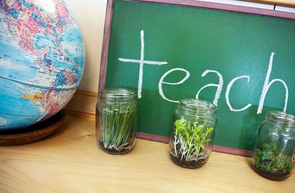 Image of a globe next to a chalkboard with the word “teach” written on it. In front of the chalkboard are three jars, each containing plant material.