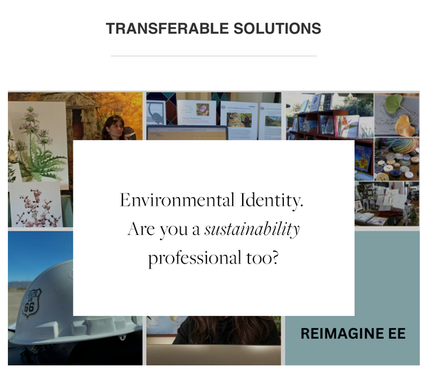 From newsletter to digital publication