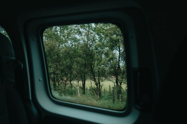 Second Nature