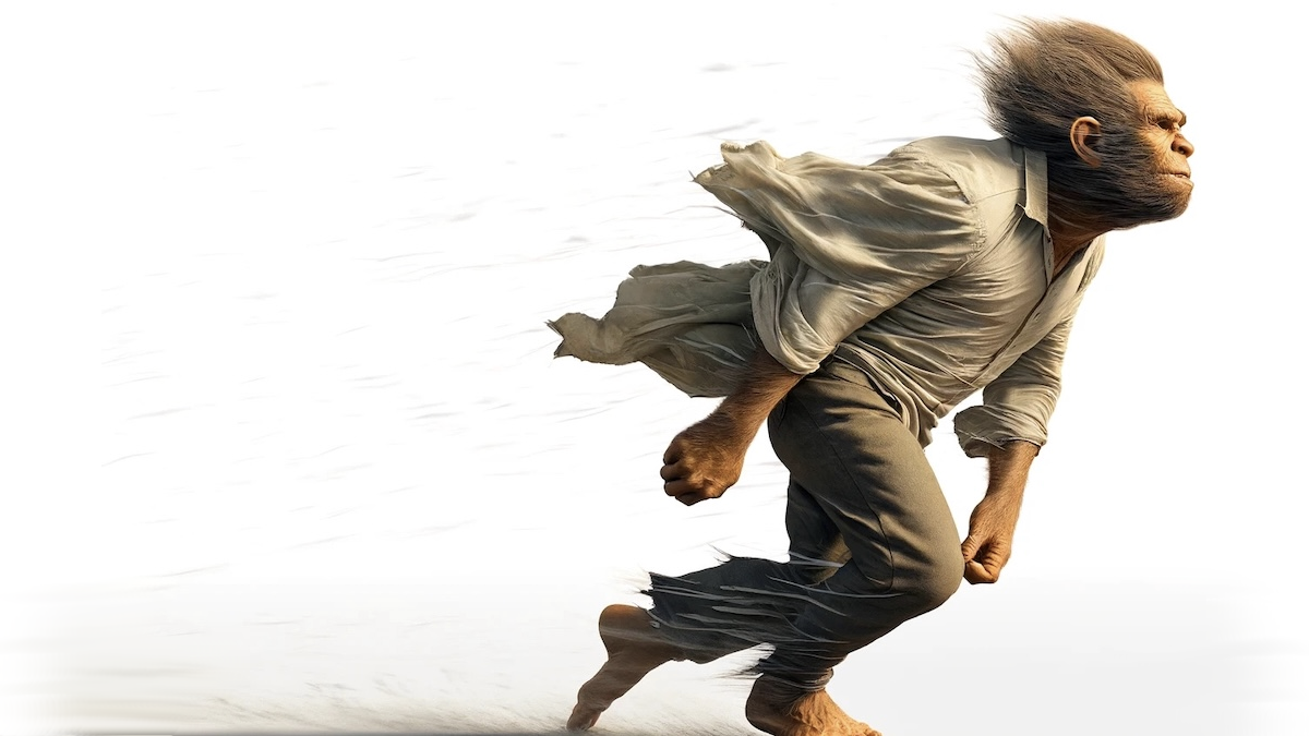 The winds of an evolutionary mismatch