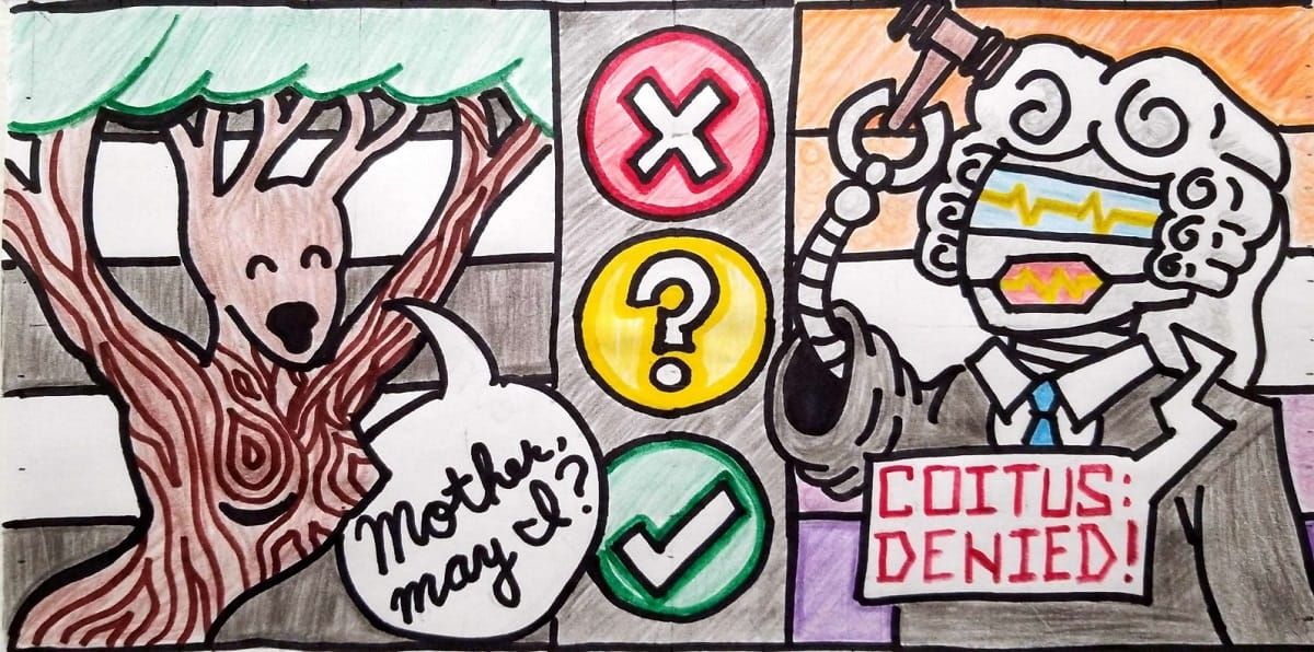 The feminist future of straight sex: Consent culture