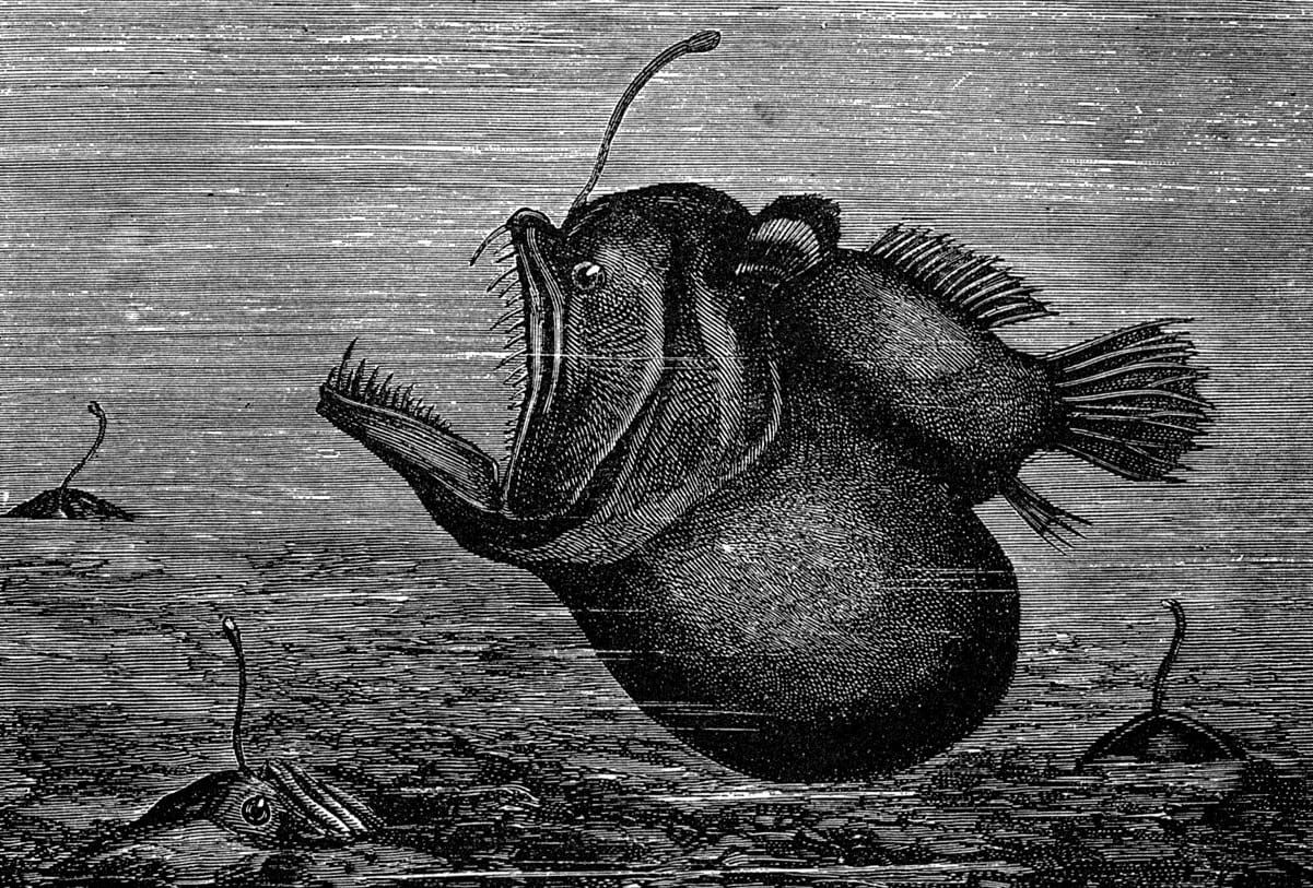 That was fast: Malus ex machina