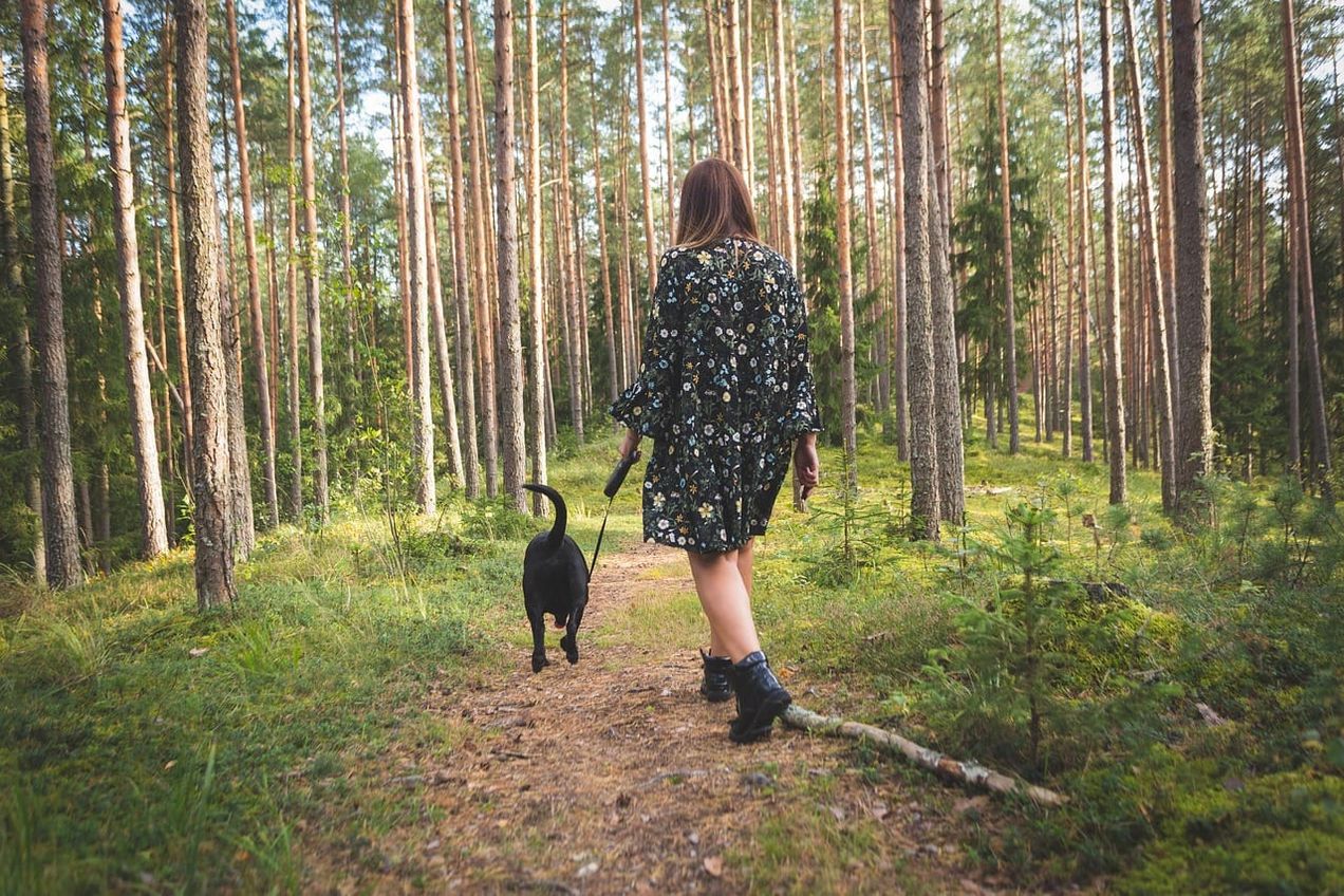 How forest bathing can soothe our souls