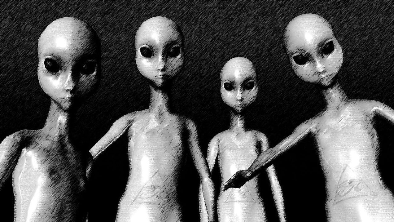 The alien invasion of our own making
