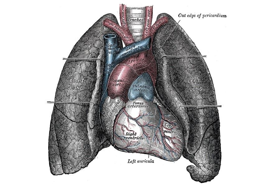 That was fast: Why machines are heartless