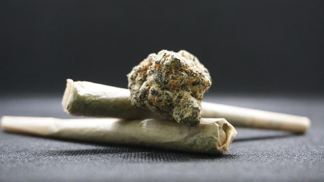 Just say no to prohibition