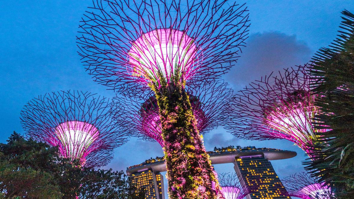 Solarpunk humanism: How we dream bigger than despair | Evening view of Supertree Grove and Marina Bay Sands building in Singa