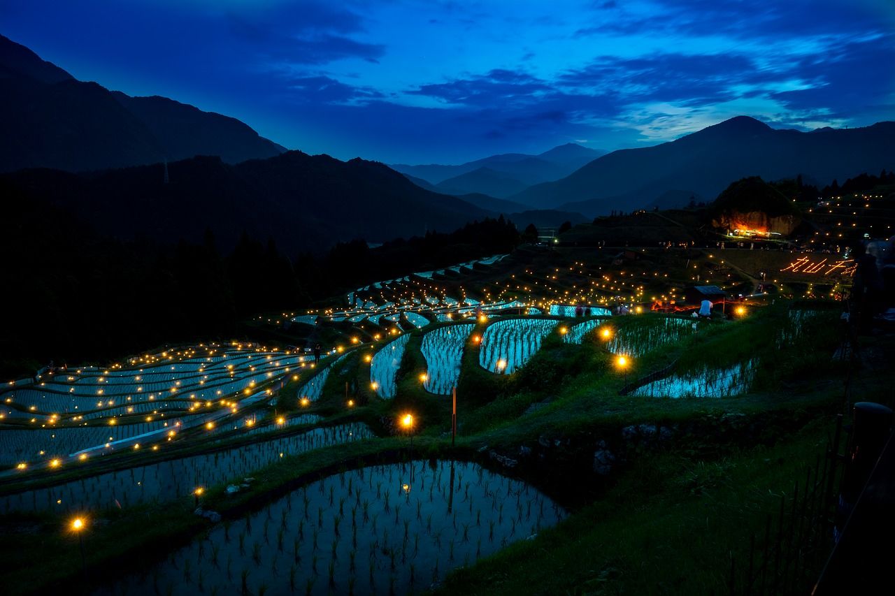 A terraced rice farm at night, glowing with lights like fireflies