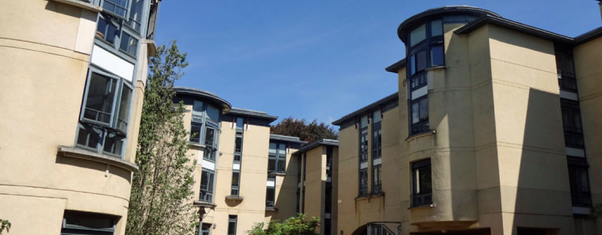 Screen-Shot-2018-02-13-at-10.48.06