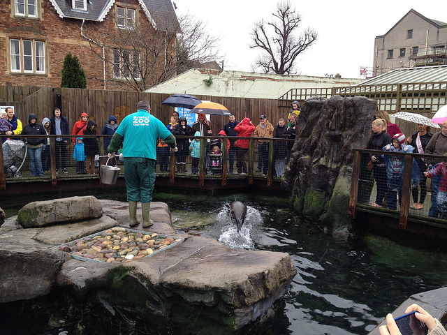 7321555898_6ca5ce918f_z