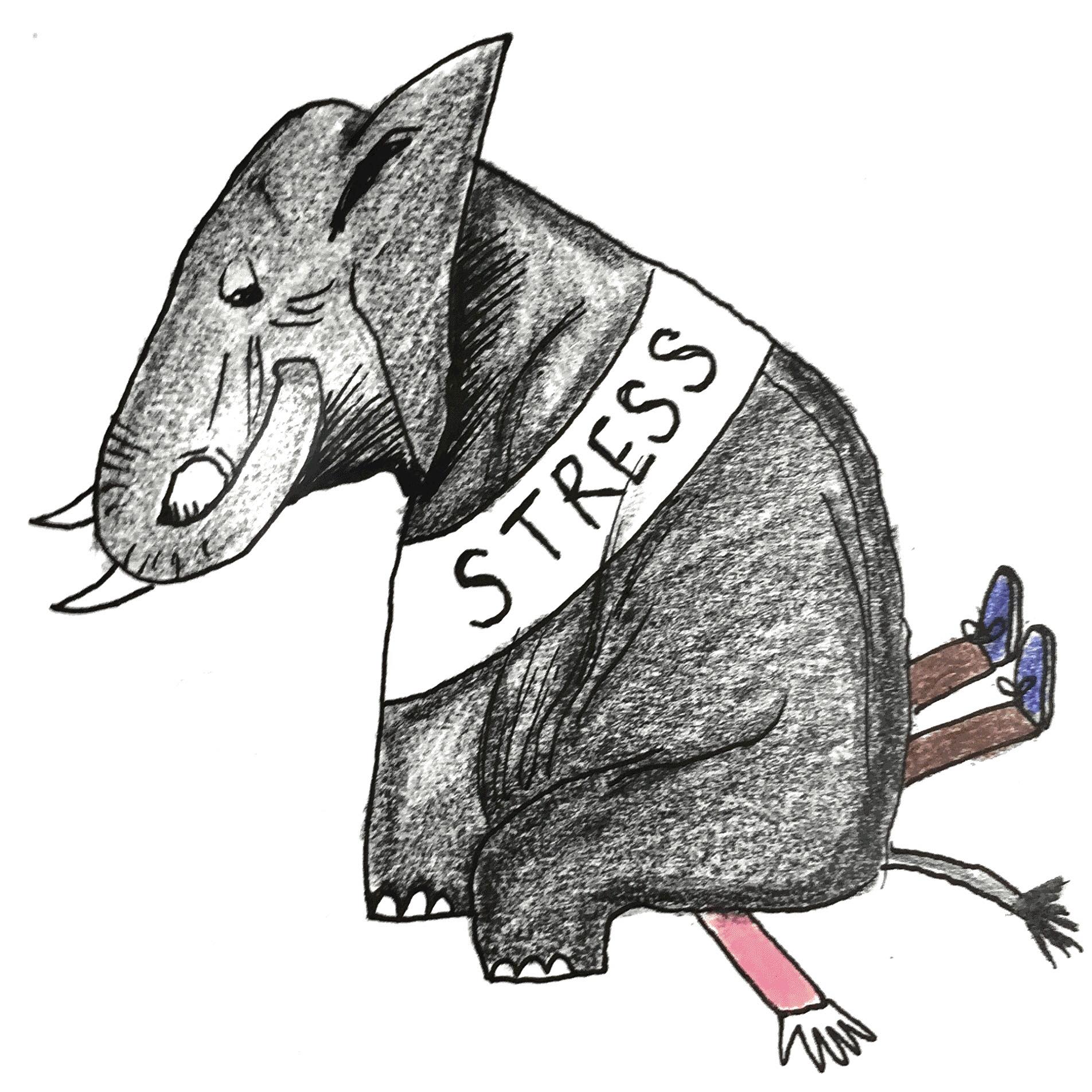 42769073_2136709709681336_4648532156312715264_n