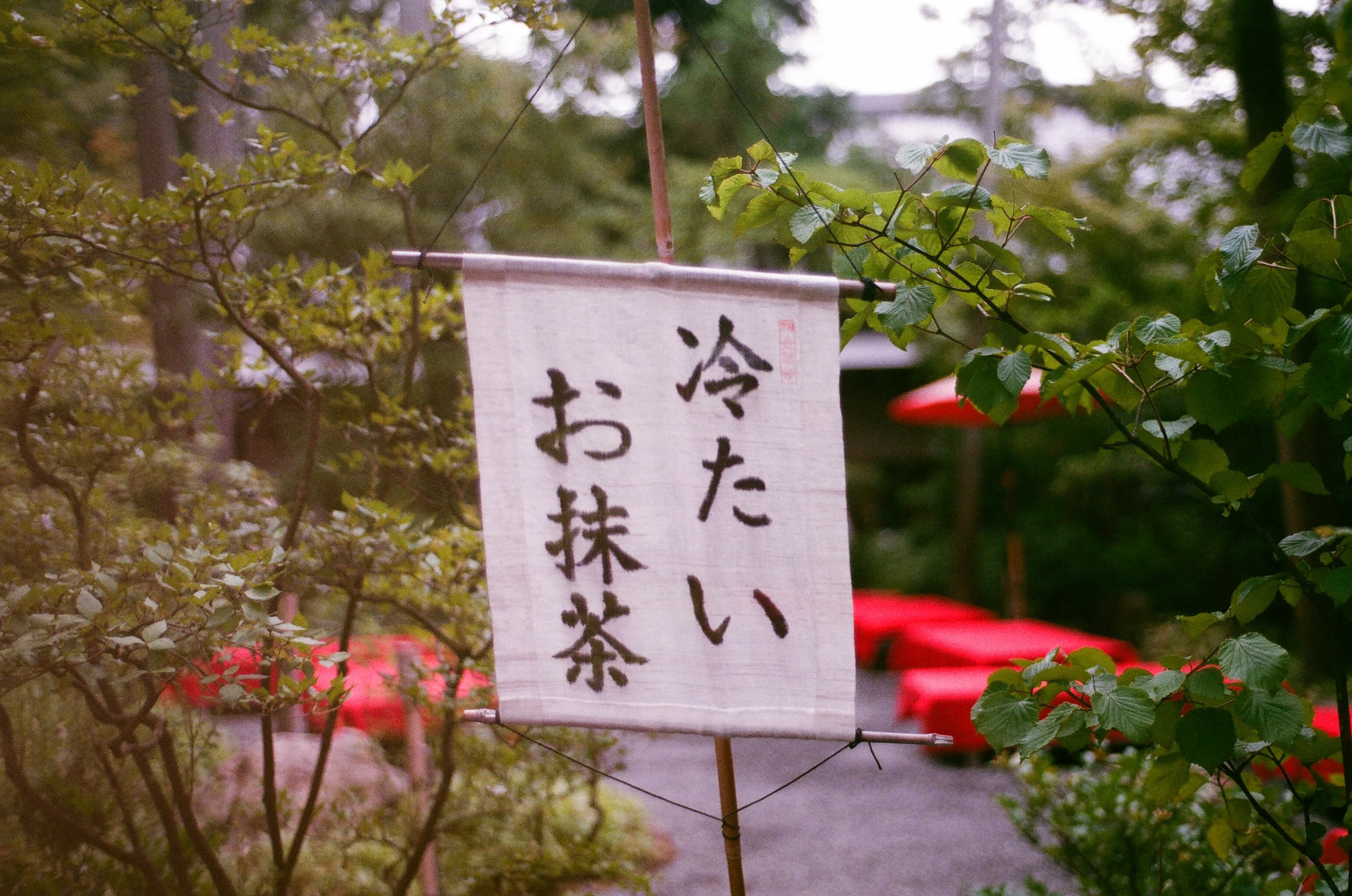 43551195_285698458932616_4417234298973716480_n--1-