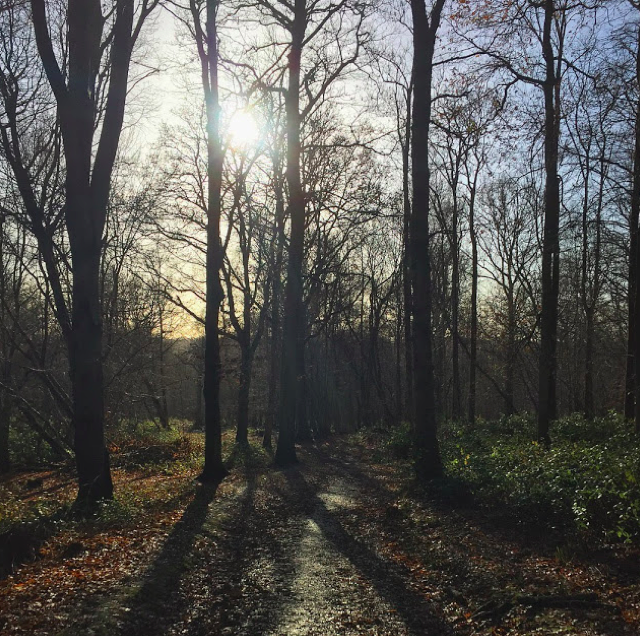 Screen-Shot-2018-10-26-at-23.58.59