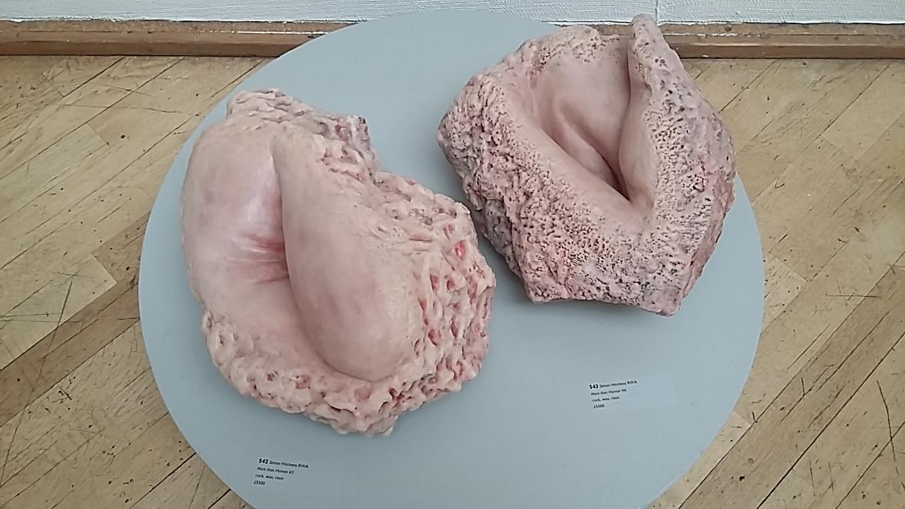 Simon-Hitchens---More-than-human