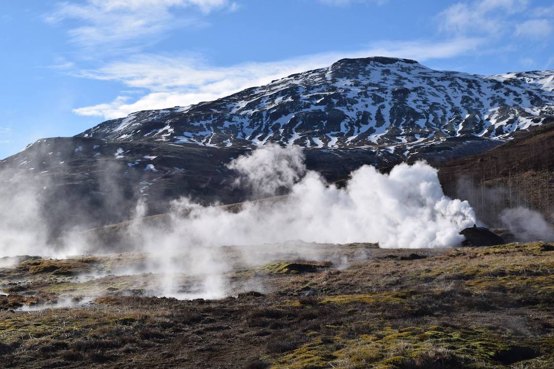 18260700_1281195745320690_1425538474_o-5