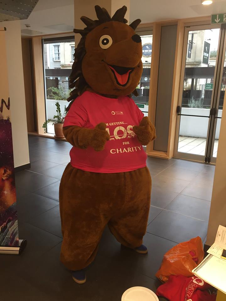 45668726_558607934603349_5357192749311328256_n