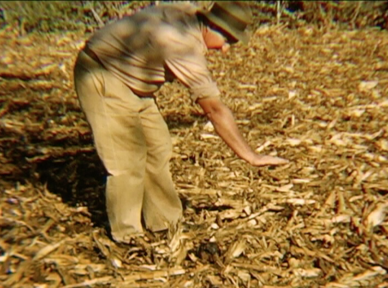 alone-w-empire-farmer