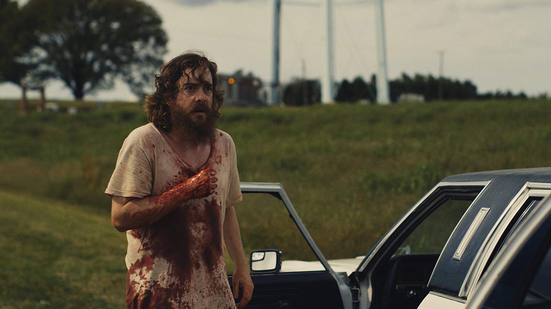 blueruin