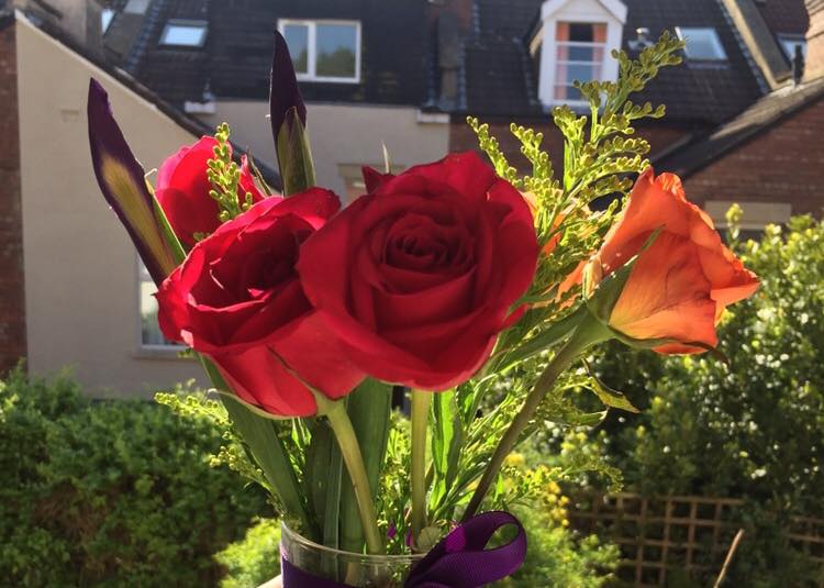 51496005_412616746150832_7406053167827255296_n