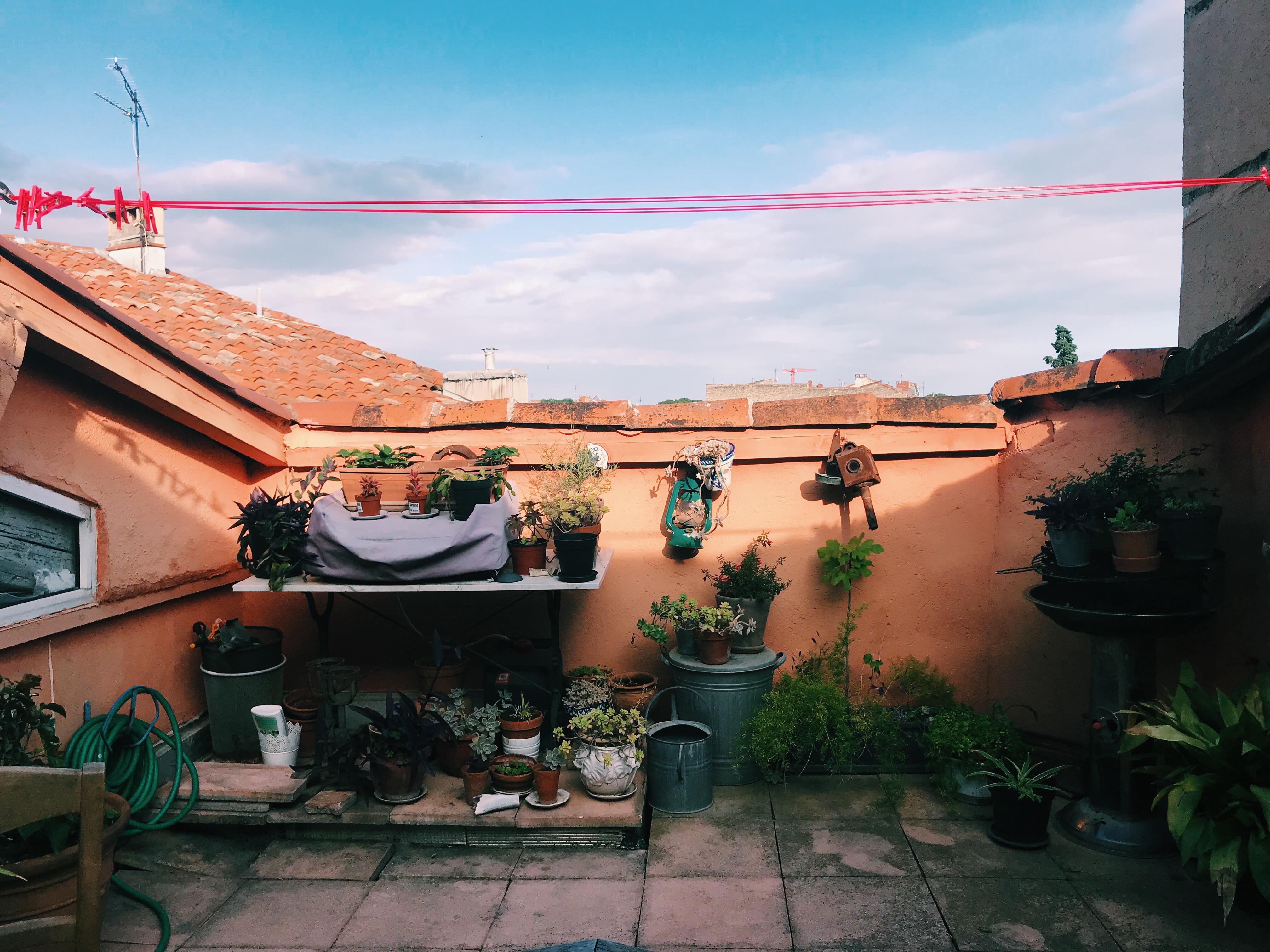 51590797_1462798117186963_7229351457286258688_n