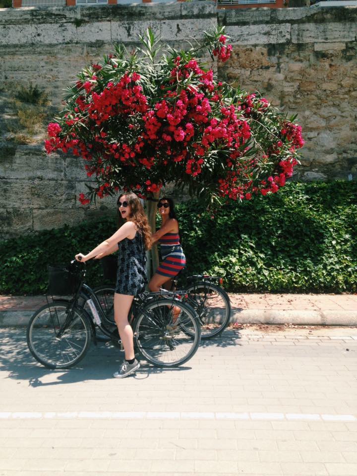 53150312_258317335061411_7972087951444148224_n