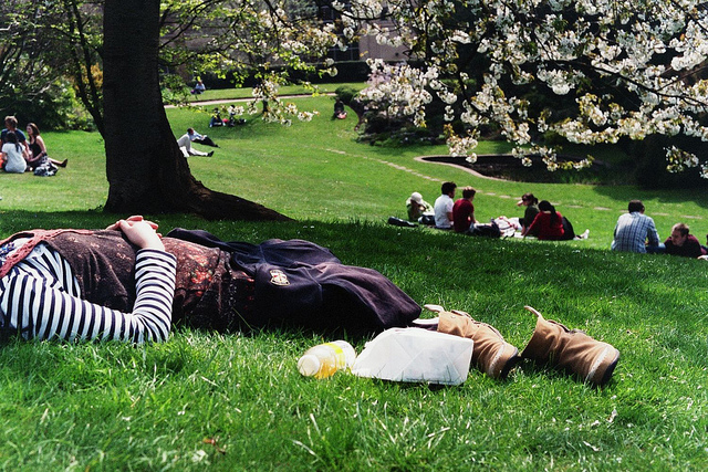 4590206492_3db2d80d47_z