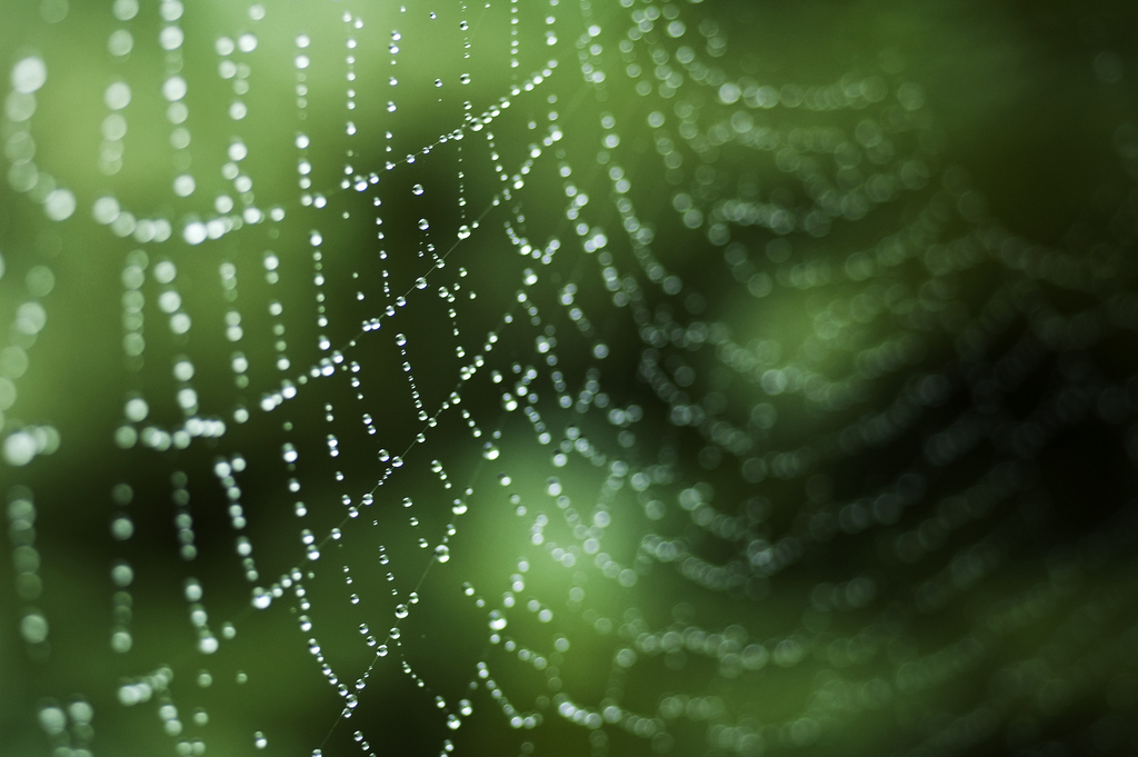 4880251983_6873ed1aab_b