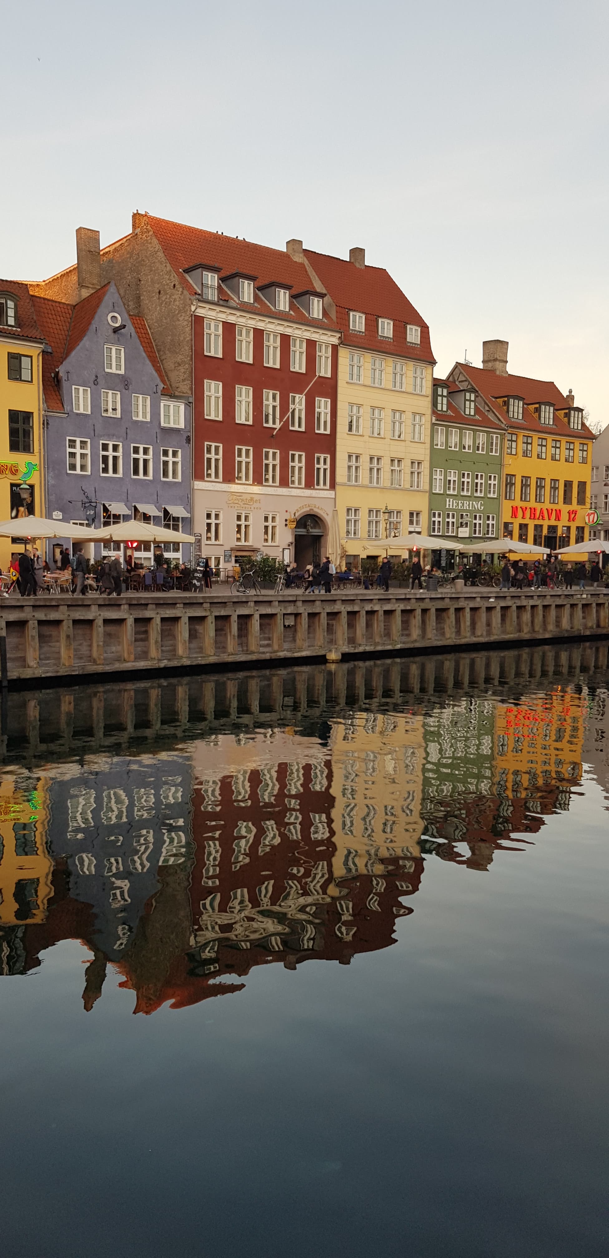 52842292_766475083725328_2550689594290995200_n