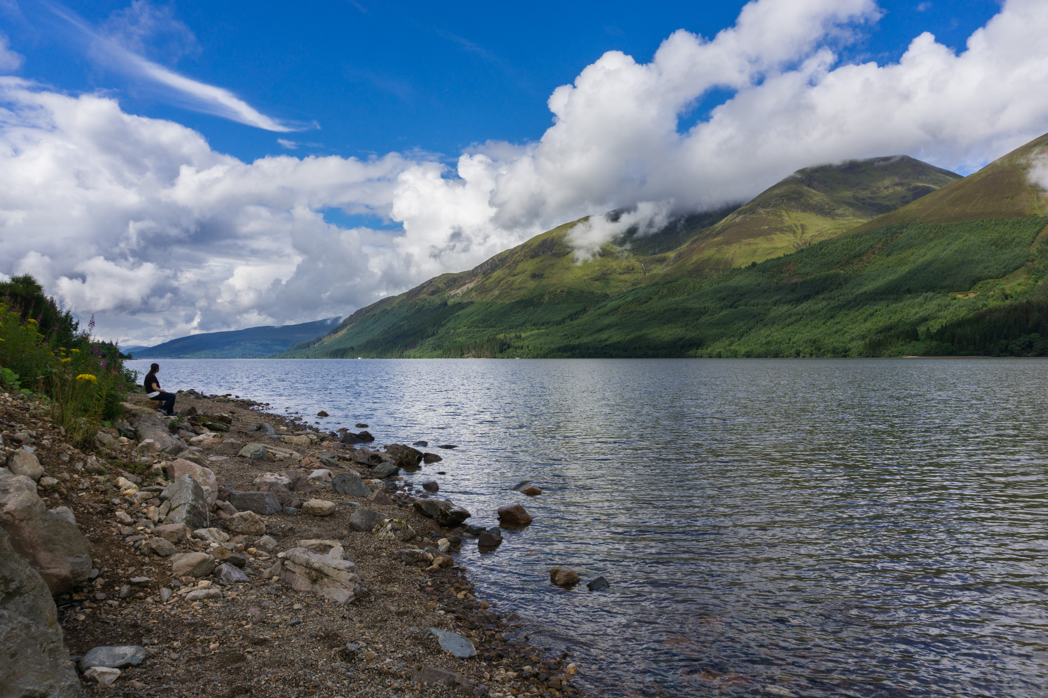 37152739590_e7ddf8bbbb_o