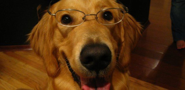 English prof. admits he's "a regular Sparknotes user"