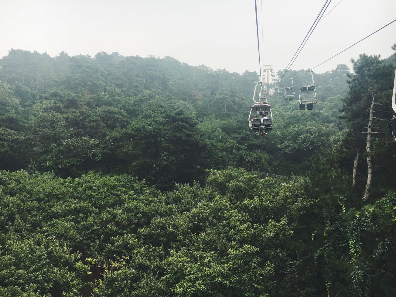 Are Bristol students concerned about the environmental impact of travel?