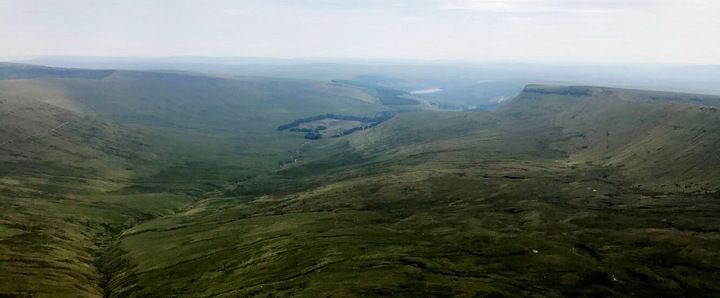 The importance of green spaces