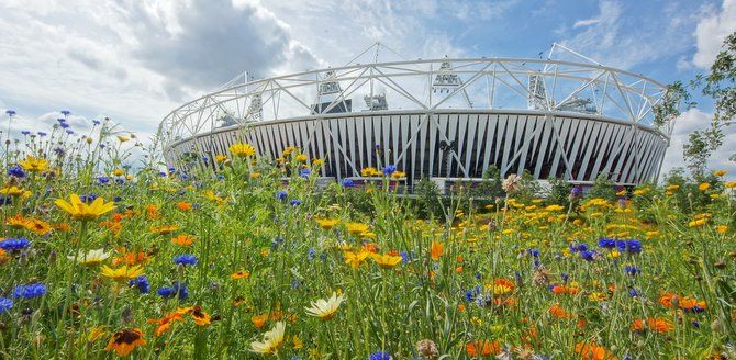 Sport - healthy for you, but what about the planet?