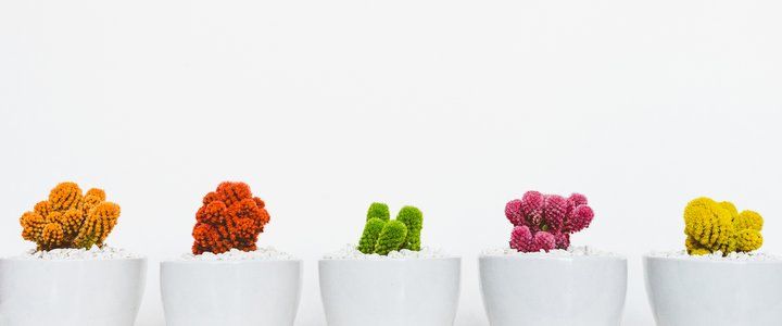 Minimalism: less is more