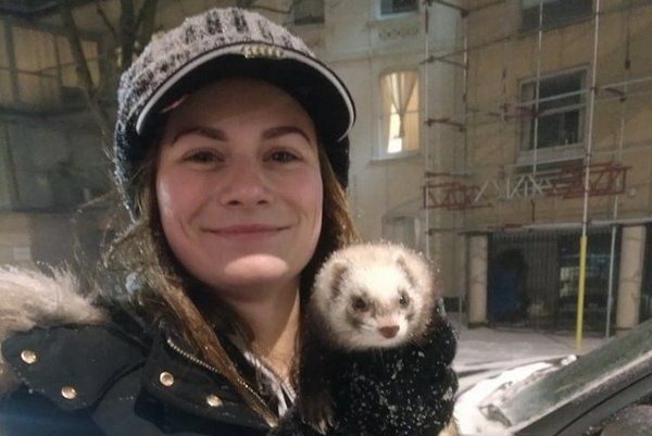 Meet Doris, the ferret found on the snowy streets of Bristol