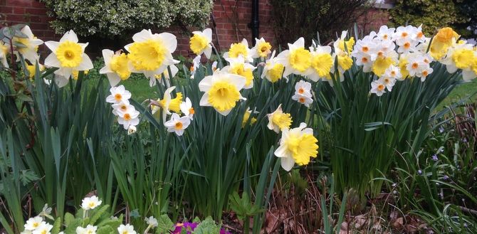 Recipes: sweet treats for Easter