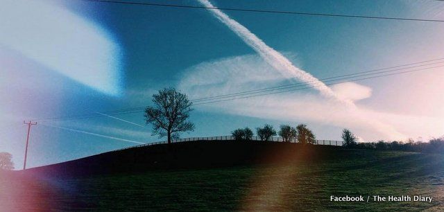 'It's time to redefine health' - An interview with Molly Gorman, founder of The Health Diary