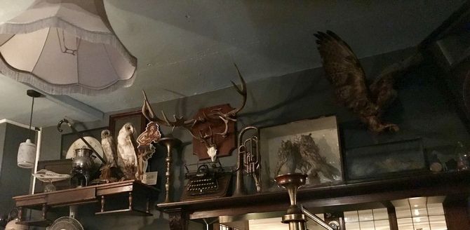 Review: The Old Bookshop